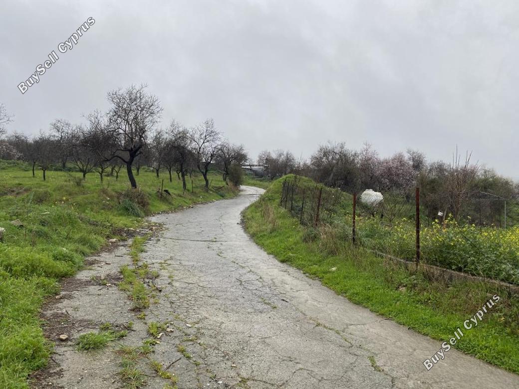 land for sale kelokedara paphos 839826 image 9904702
