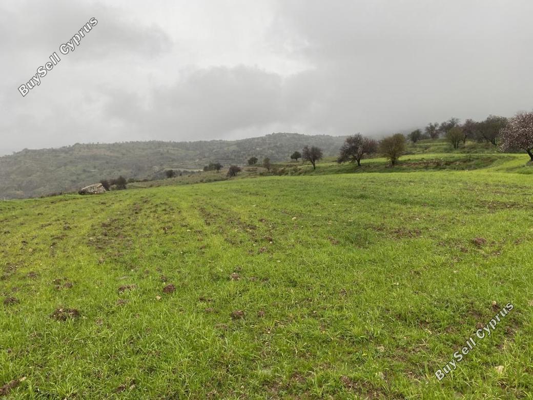 land for sale kelokedara paphos 839826 image 9904705
