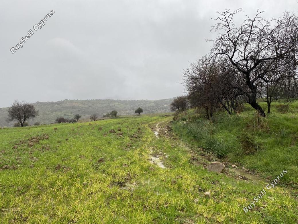 land for sale kelokedara paphos 839826 image 9904709