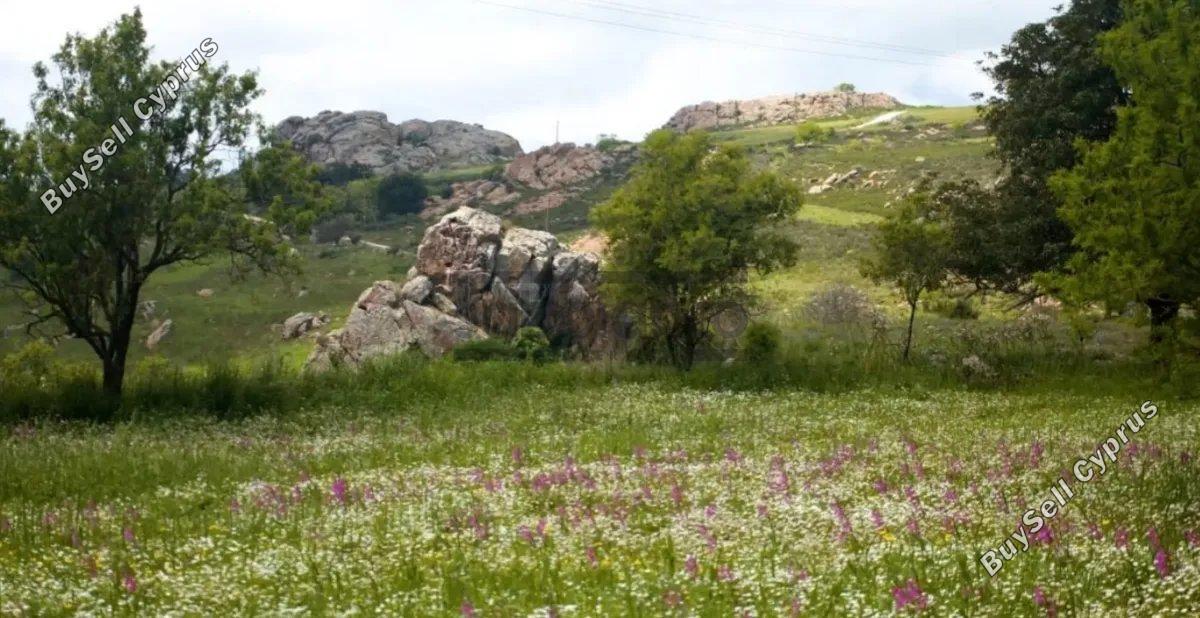 plot for sale ineia paphos 8749826 image 16479160