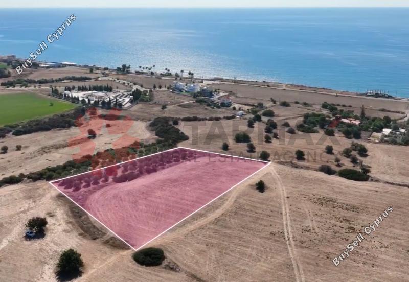 land for sale agios theodoros larnacas larnaca 1646926 image 14492442