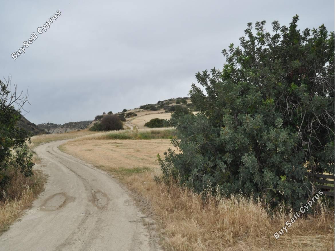 land for sale tochni larnaca 8311926 image 14157029