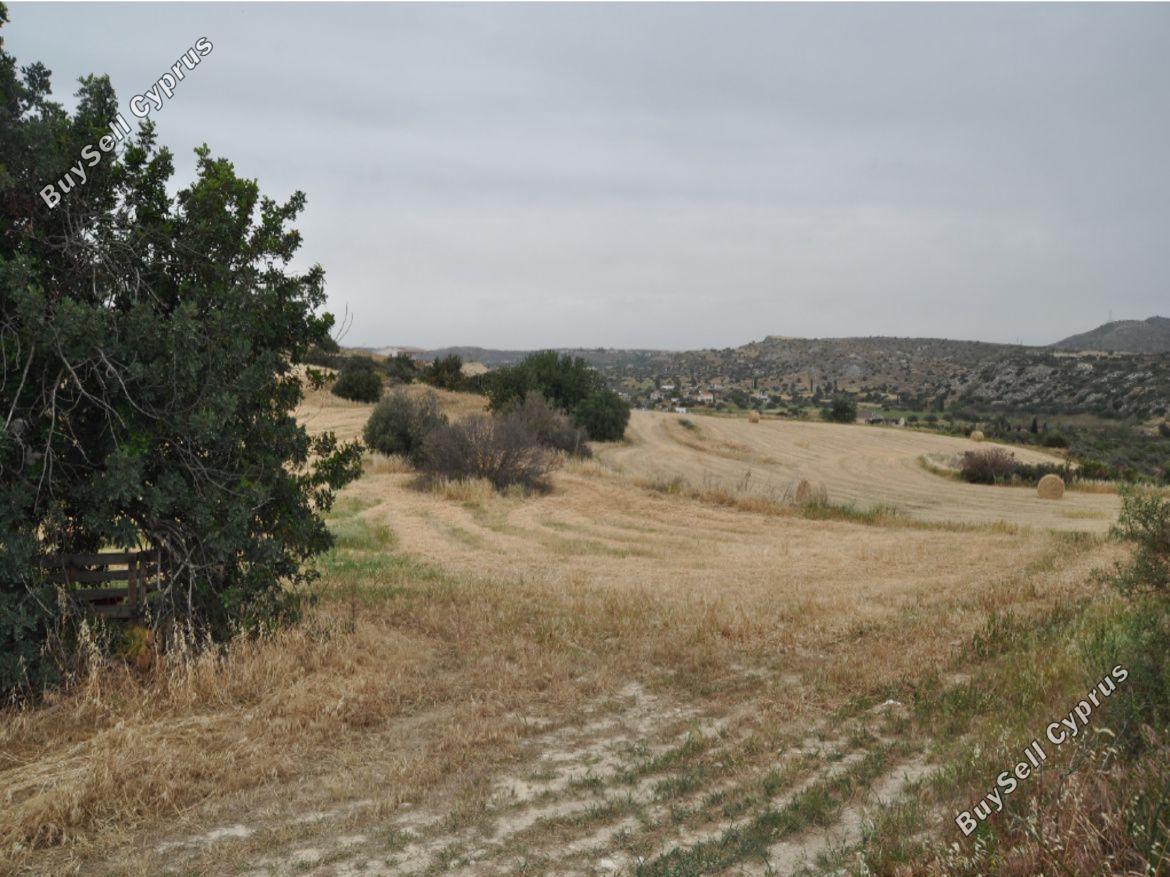 land for sale tochni larnaca 8311926 image 14157031