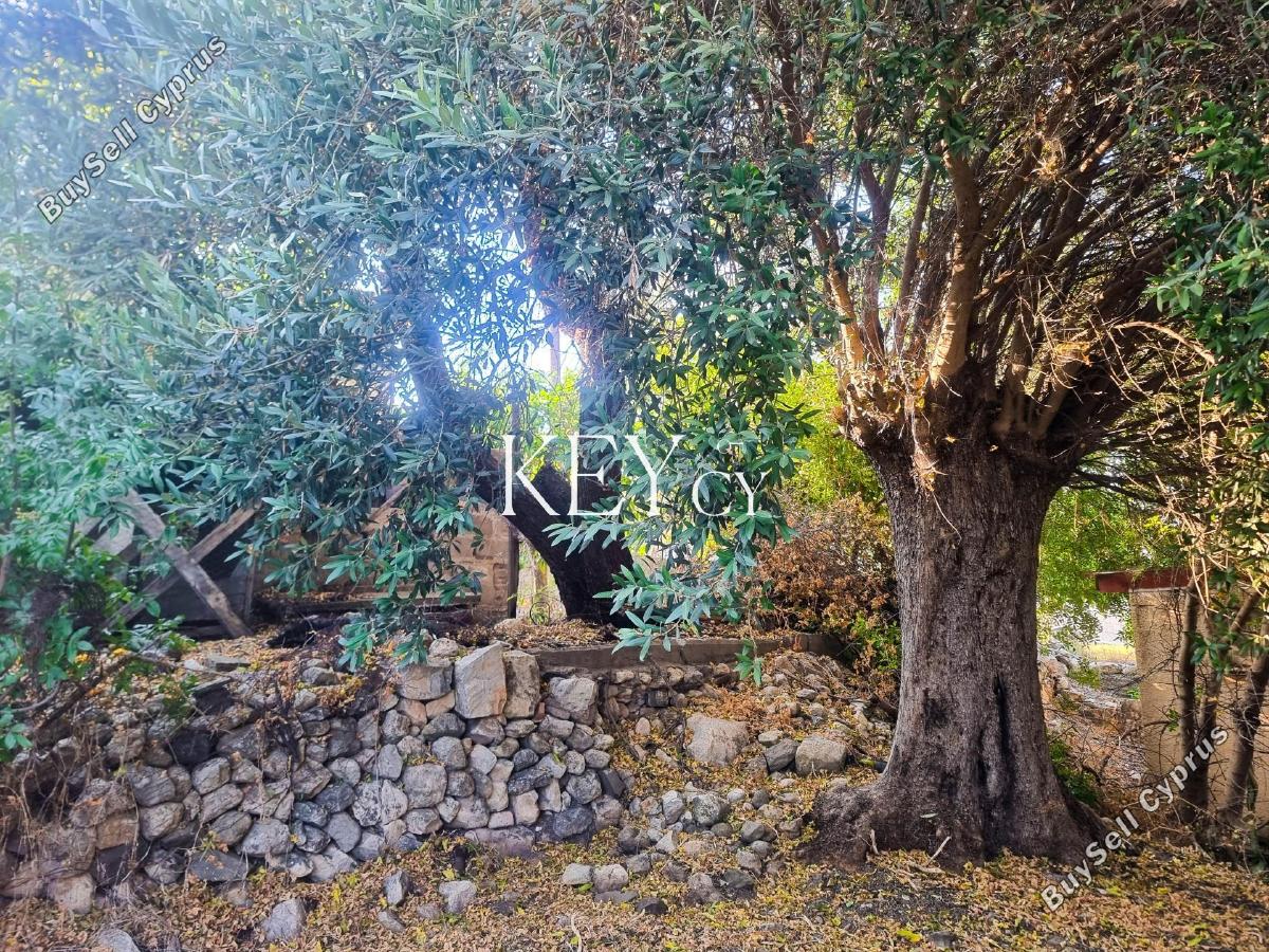 4 bedroom detached house for sale kritou marottou paphos 8941036 image 17668749