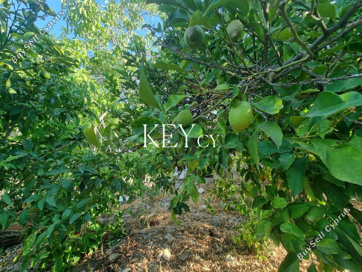4 bedroom detached house for sale kritou marottou paphos 8941036 image 17668760