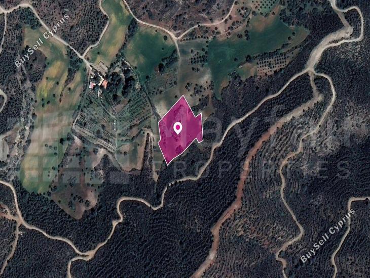 land for sale kofinou larnaca 7872036 image 11383914