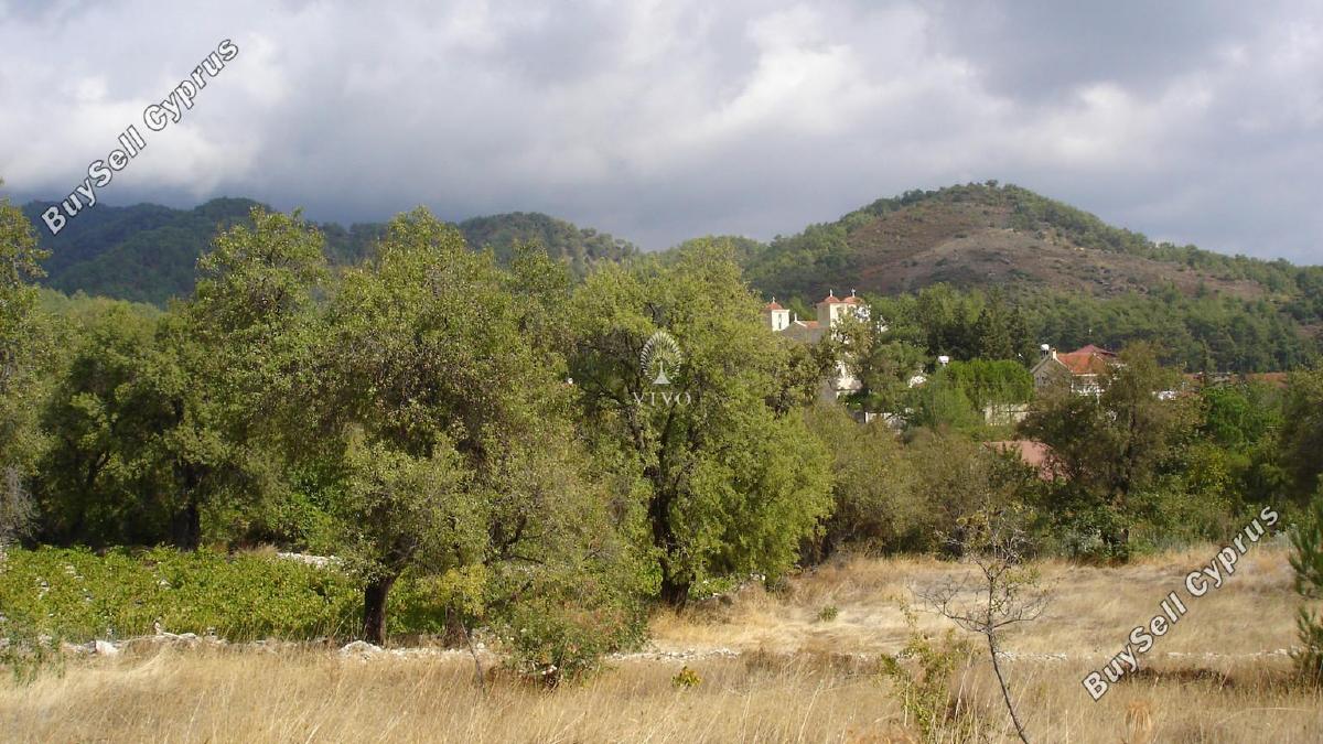 land for sale pera pedi limassol 7940036 image 11310043