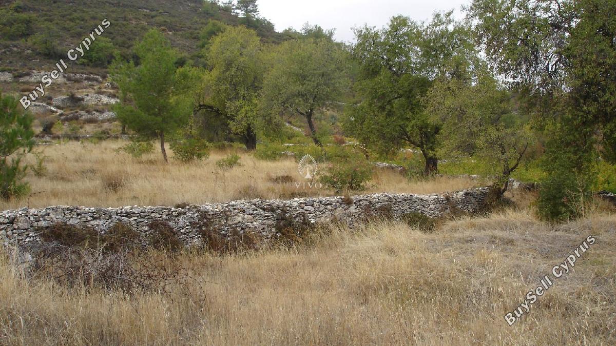 land for sale pera pedi limassol 7940036 image 11310044