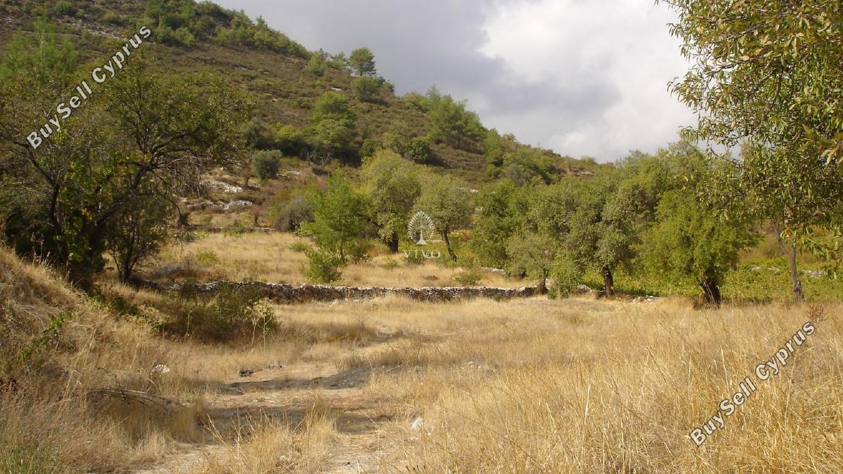 land for sale pera pedi limassol 7940036 image 11310045