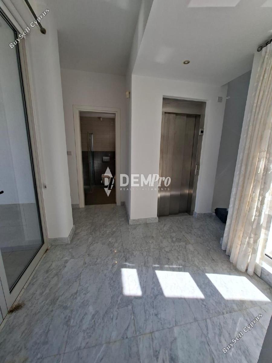 4 bedroom detached house for sale latsi paphos 7812136 image 12687452