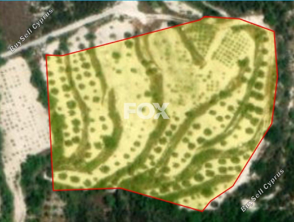 land for sale tsada paphos 1270136 image 5554741
