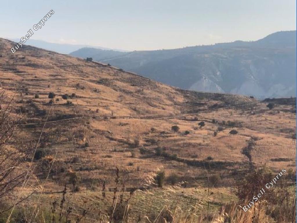 land off market kilinia paphos 8630136 image 17011433