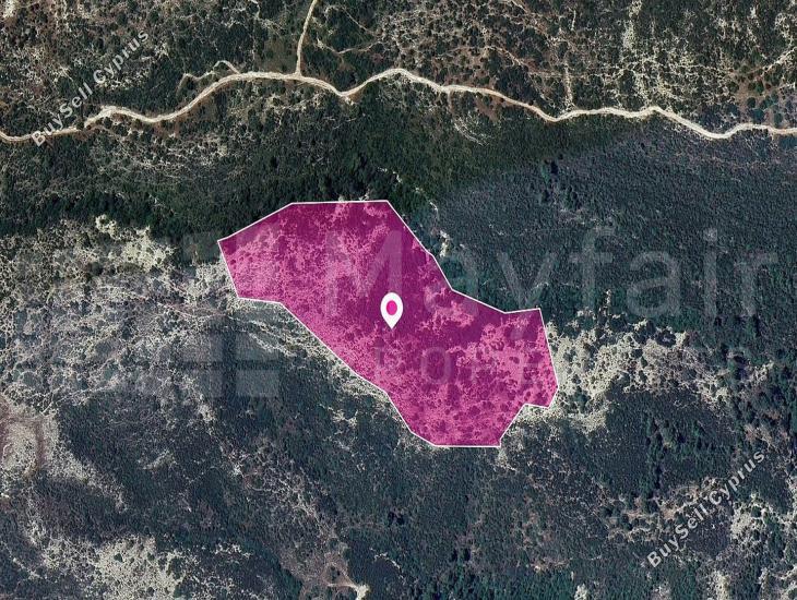 45820 SQM Land for sale in Platanisteia, Limassol 14115927