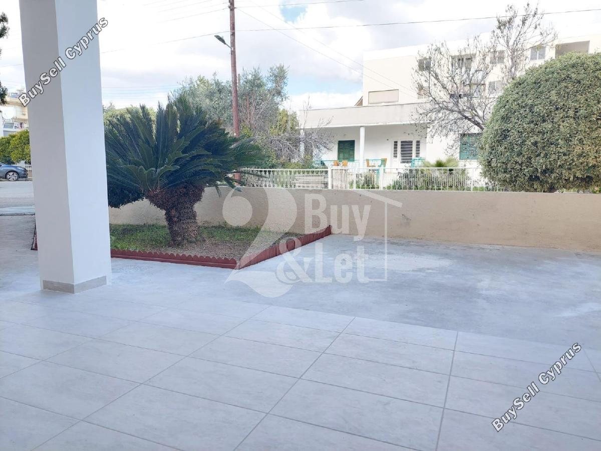 2 bedroom ground floor apartment for rent paphos municipality paphos 8748236 image 16461623