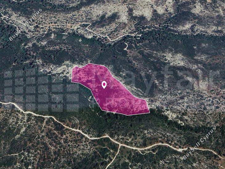 land for sale platanisteia limassol 7872236 image 14115925