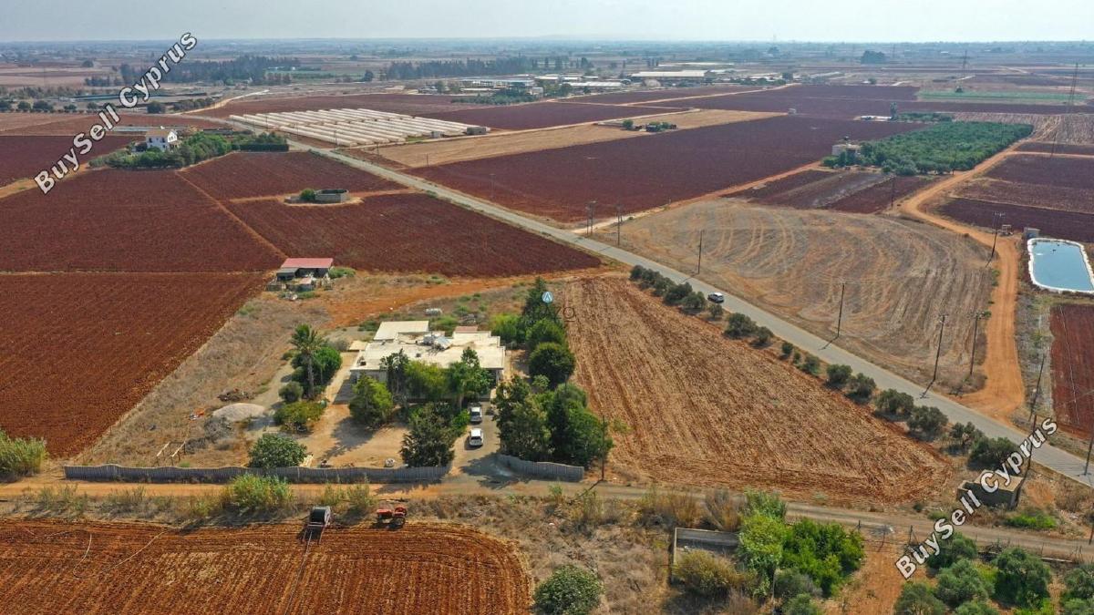 4 bedroom bungalow for sale ormideia larnaca 1167336 image 5619962