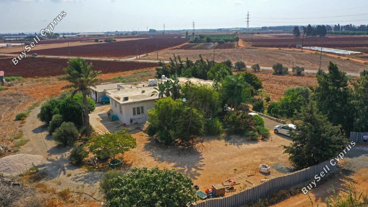 4 bedroom bungalow for sale ormideia larnaca 1167336 image 5619972