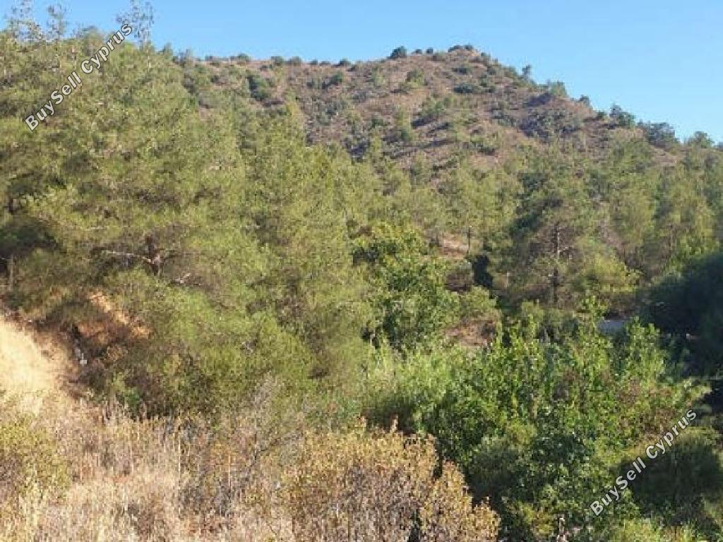 land for sale agios mamas limassol 823336 image 15602333