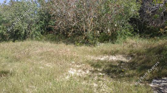 land for sale armou paphos 7535336 image 9475583