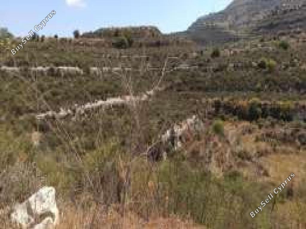 land for sale dora limassol 8926336 image 17615332