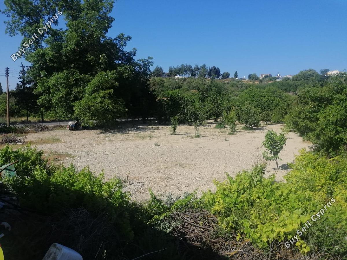 land for sale kathikas paphos 1845336 image 6633847