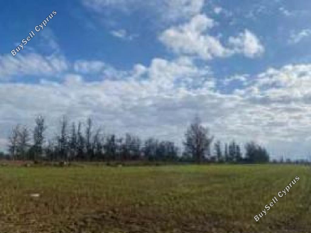 5352 SQM Land for sale in Peristerona Lefkosias, Nicosia 16010228