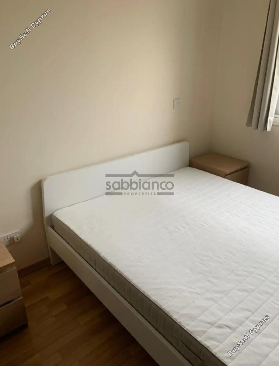 2 bedroom apartment for rent strovolos nicosia 8749436 image 16524648