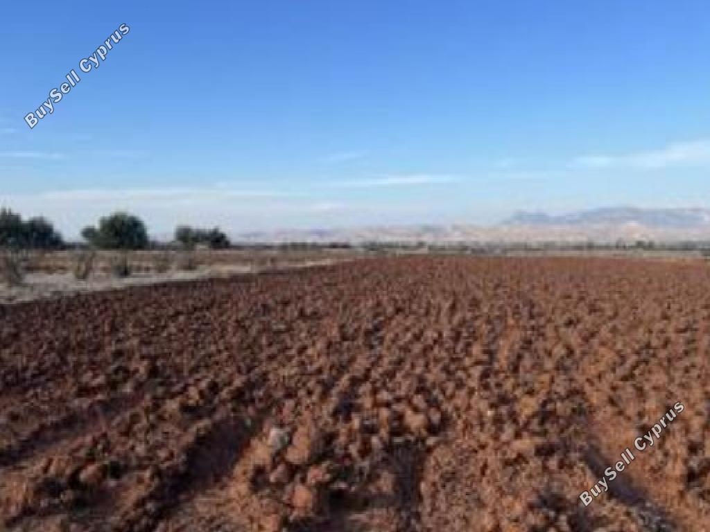 land for sale peristerona lefkosias nicosia 8666436 image 16010227