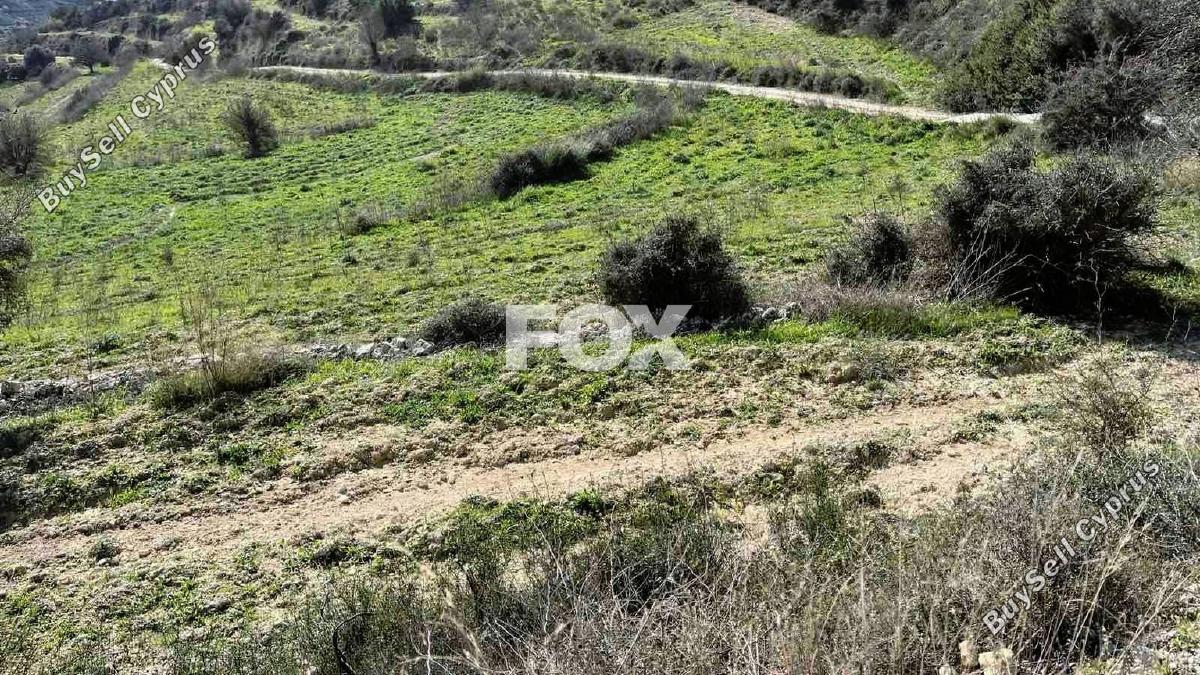 land for sale agios ambrosios limassol 1285536 image 5585221