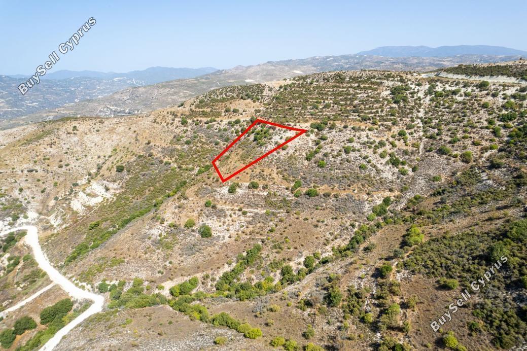 land for sale dora limassol 941536 image 5481775