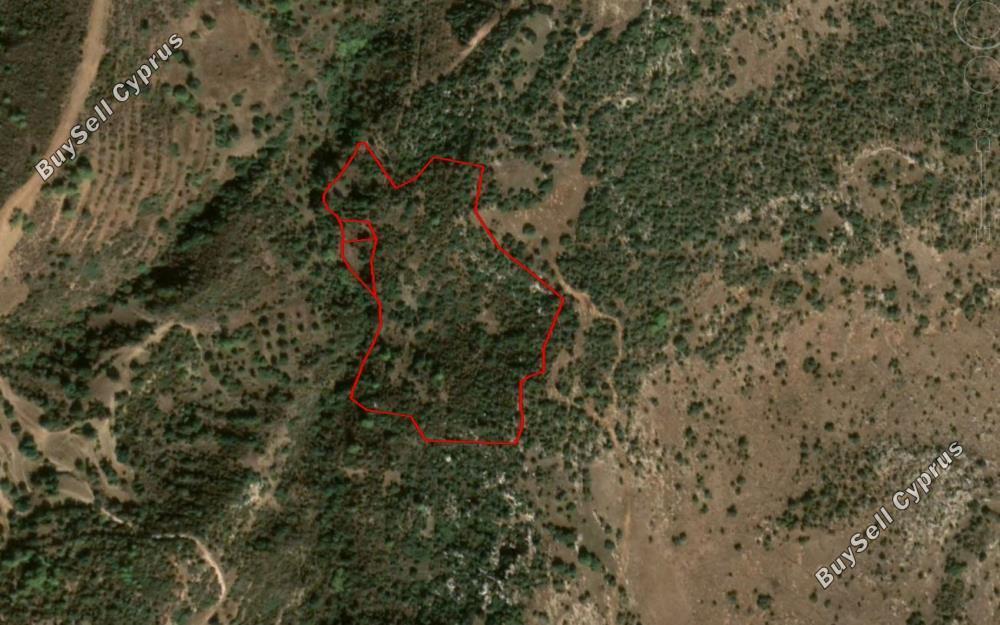 land for sale neo chorio paphos 828536 image 15177935