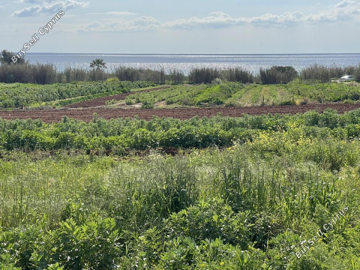 plot for sale ormideia larnaca 1313536 image 16119546