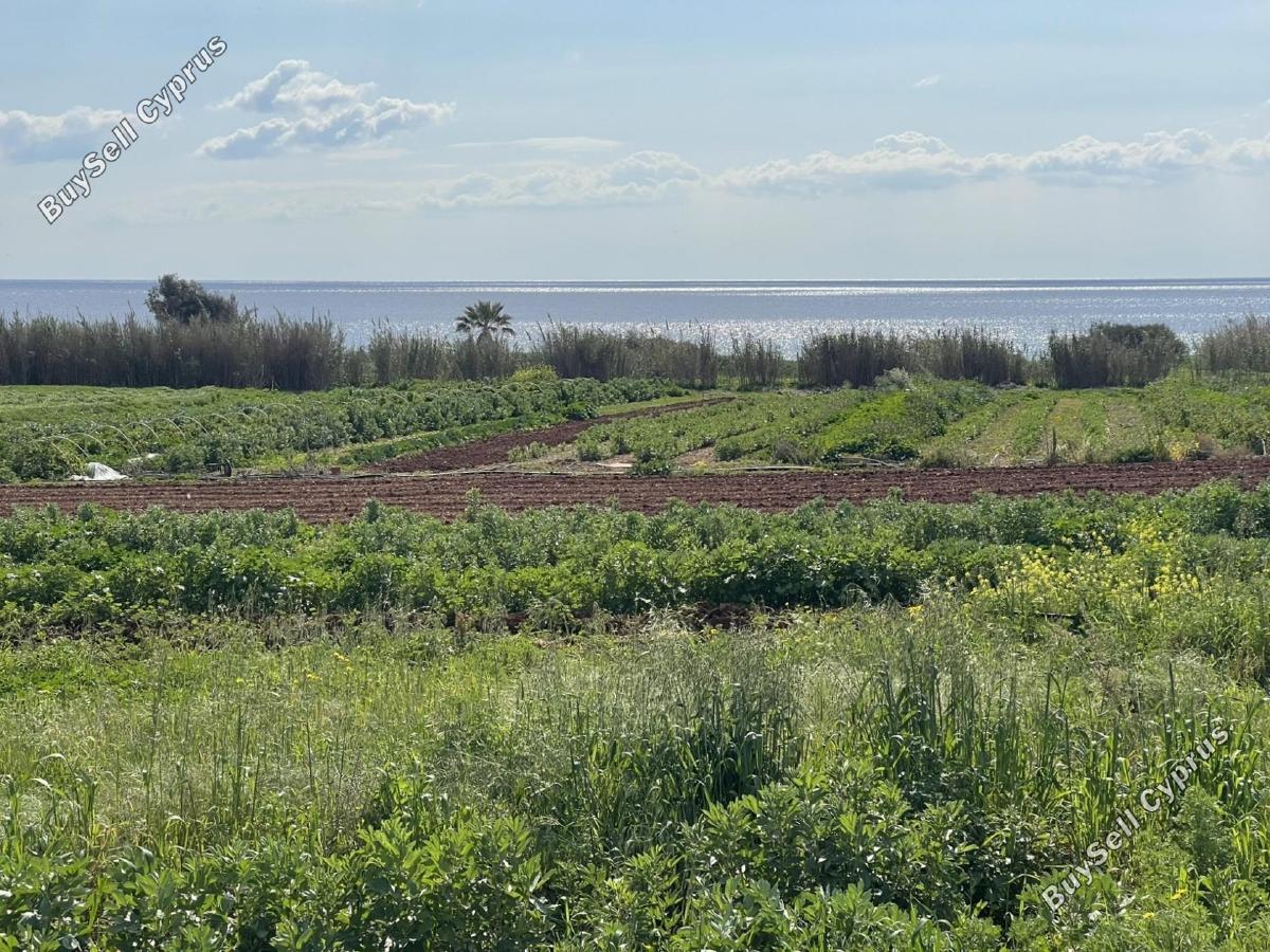 plot for sale ormideia larnaca 1313536 image 16119548