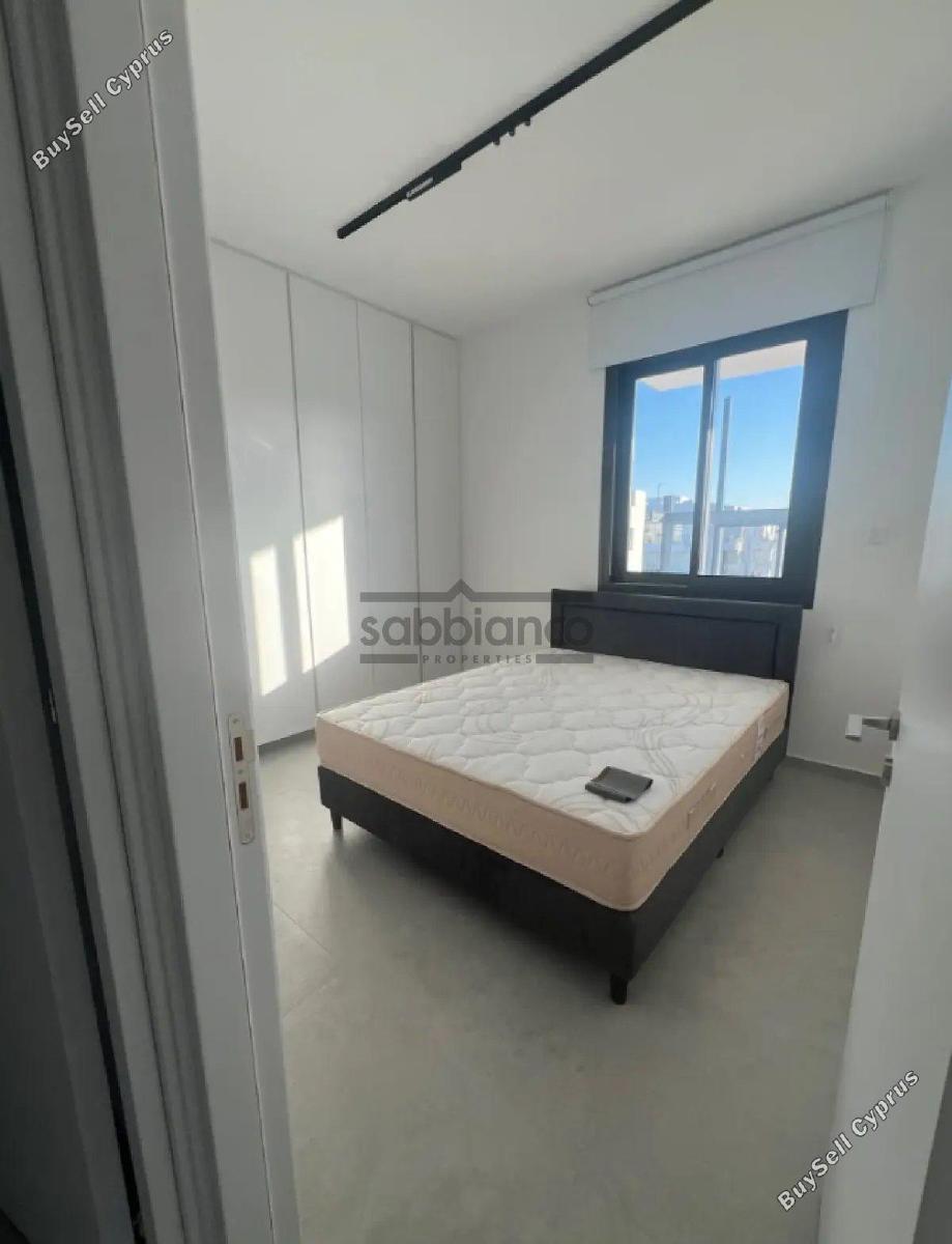3 bedroom apartment for rent egkomi nicosia 8748636 image 16467161