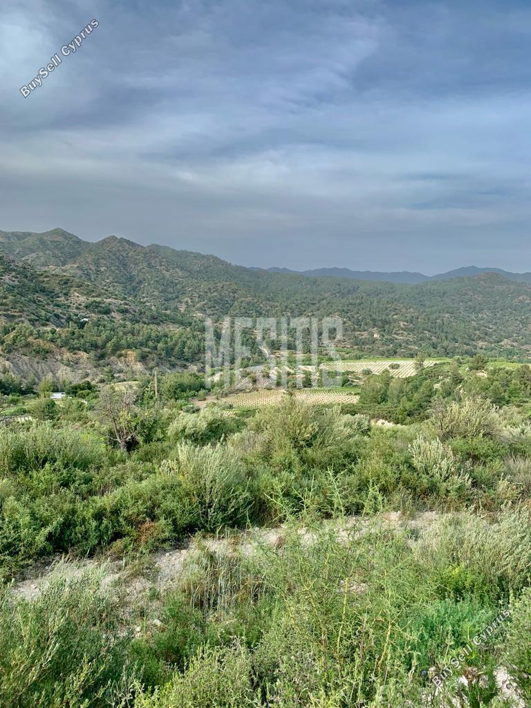 land for sale agios mamas limassol 1285636 image 15915004