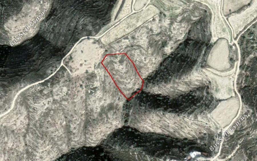 land for sale akoursos paphos 8630636 image 15873890