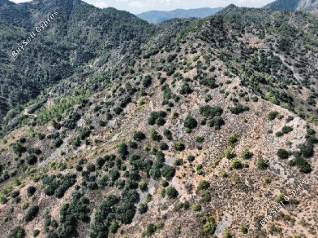 land for sale palaichori oreinis nicosia 826636 image 17694712
