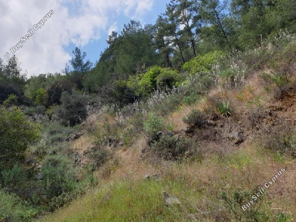 3679 SQM Land for sale in Palaichori Morfou, Nicosia 15603260