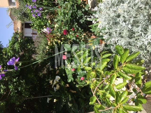 5 bedroom town house for sale kapedes nicosia 1752736 image 10535566