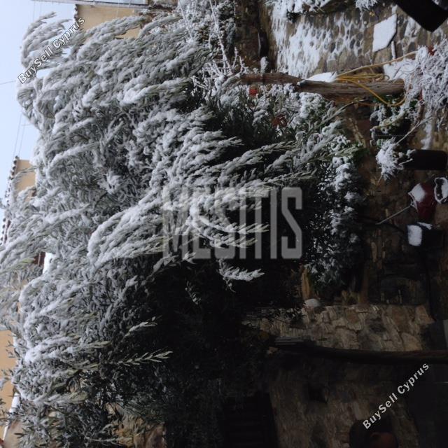 5 bedroom town house for sale kapedes nicosia 1752736 image 10535569