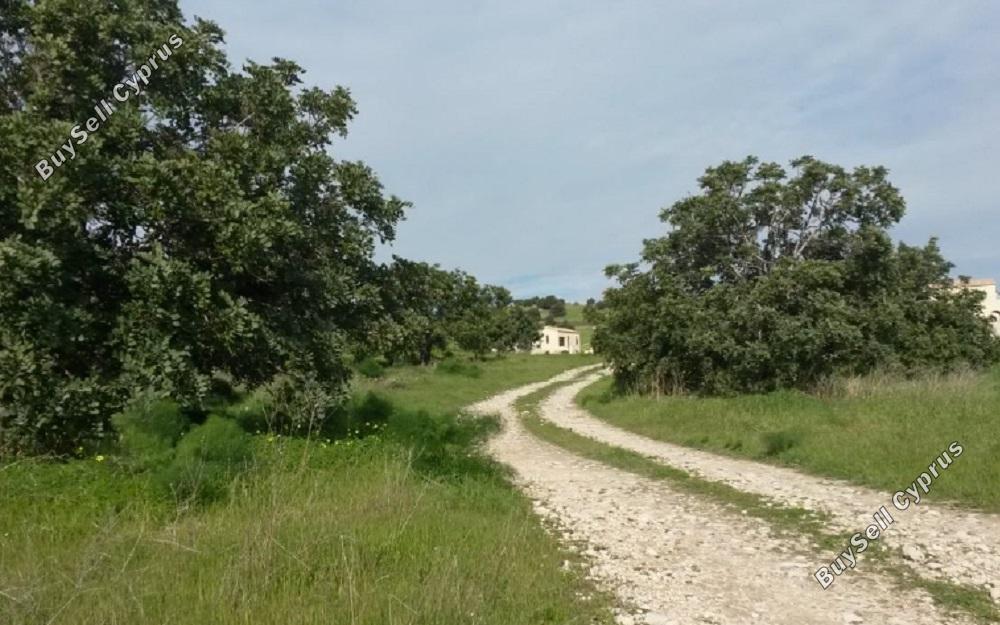 land for sale alaminos larnaca 830736 image 4125585
