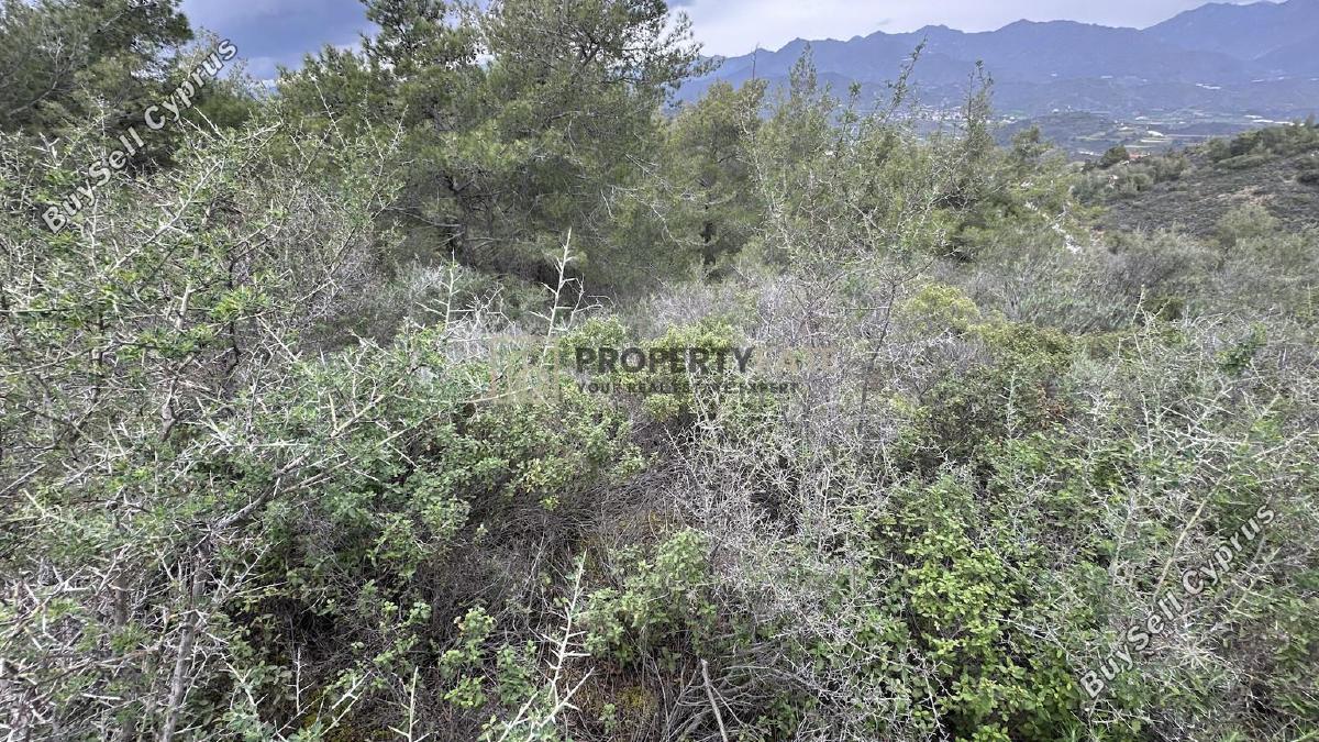 land for sale kellaki limassol 8390736 image 16553453