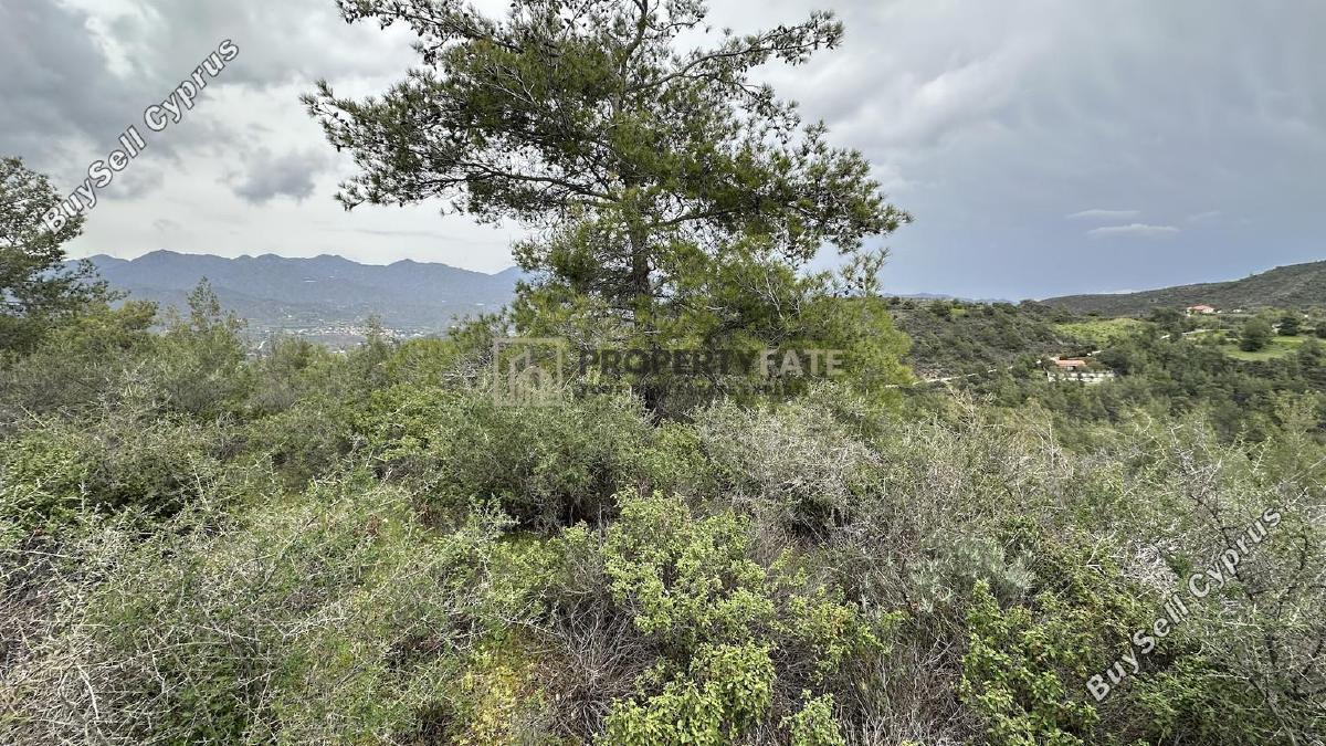 land for sale kellaki limassol 8390736 image 16553457