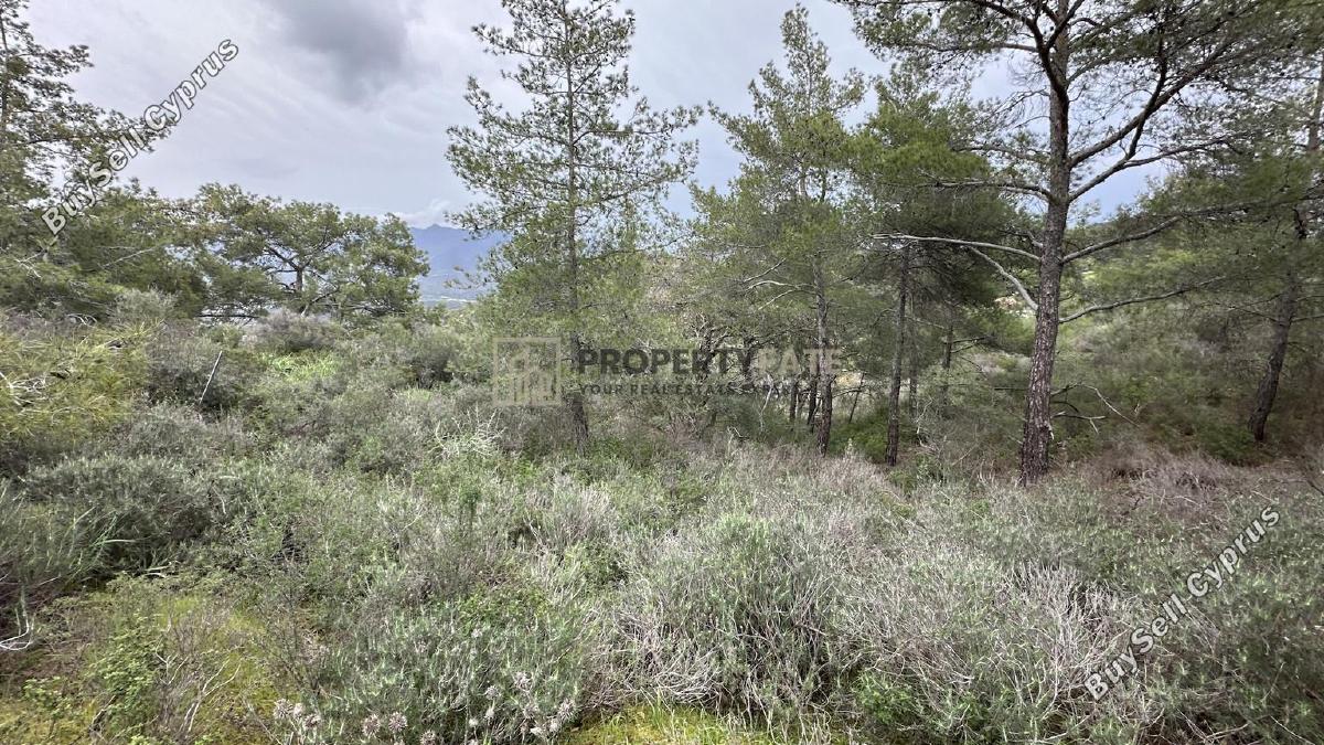 land for sale kellaki limassol 8390736 image 16553460