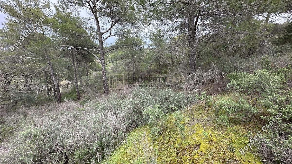 land for sale kellaki limassol 8390736 image 16553465