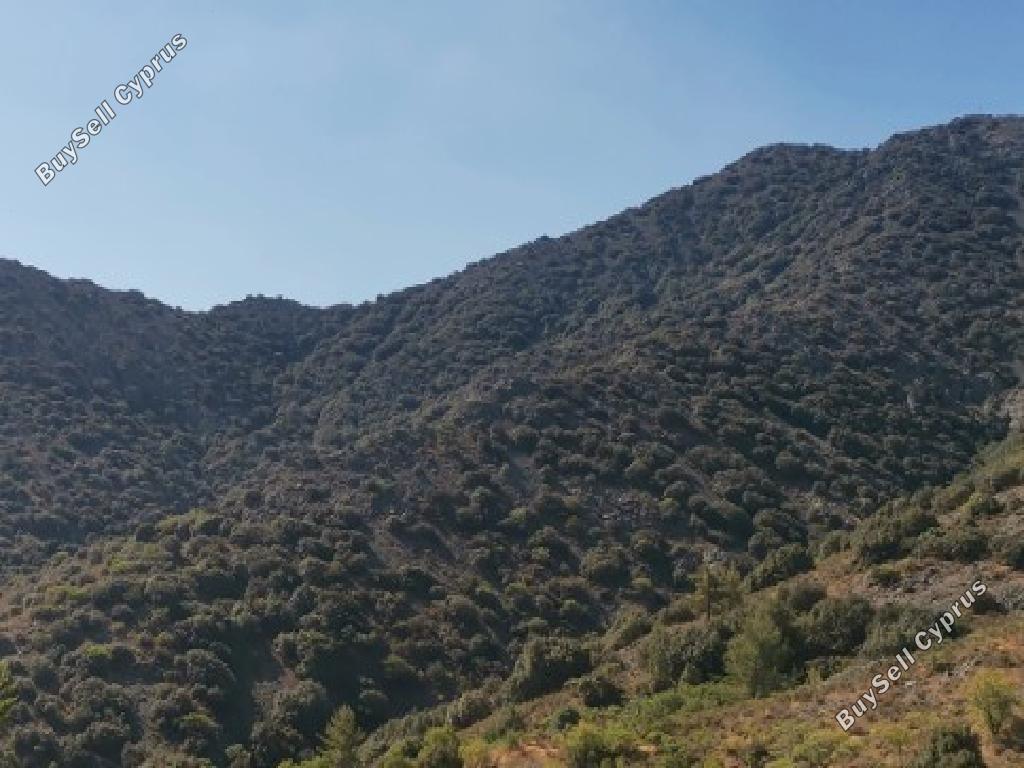 land for sale palaichori morfou nicosia 954736 image 17187556