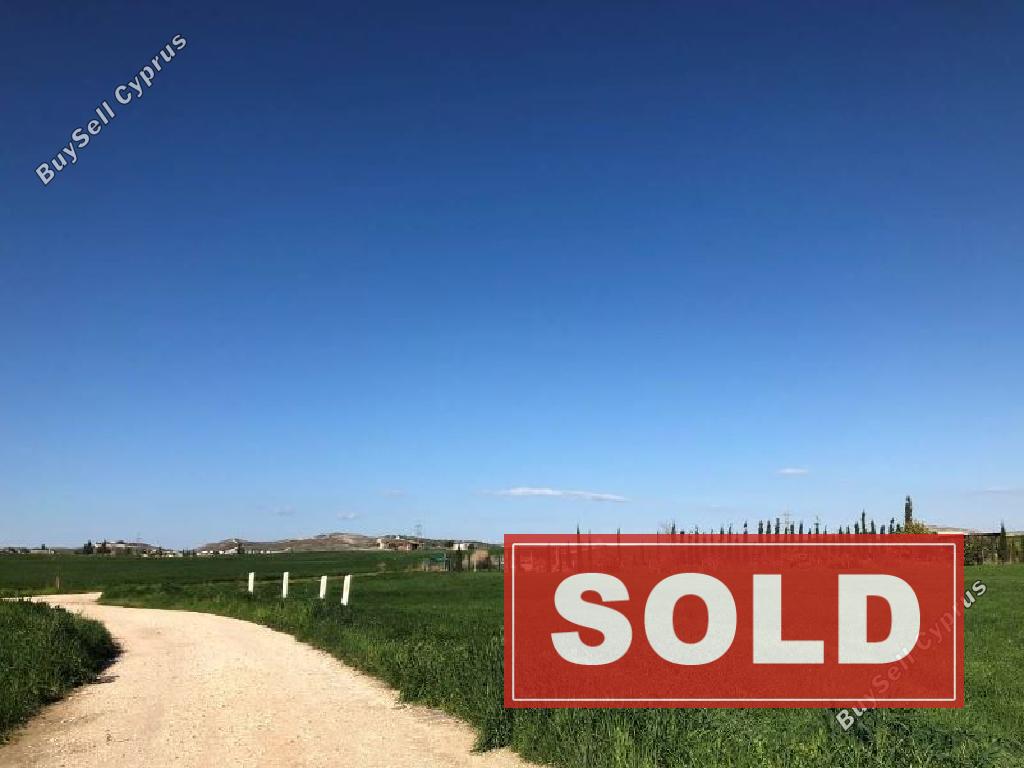 land sold aradippou larnaca 941736 image 841459