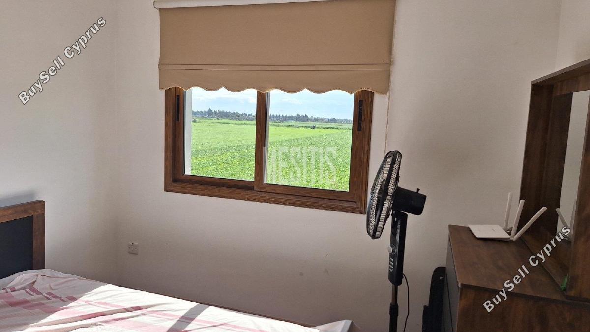 3 bedroom detached house for rent kiti larnaca 8281836 image 14013887