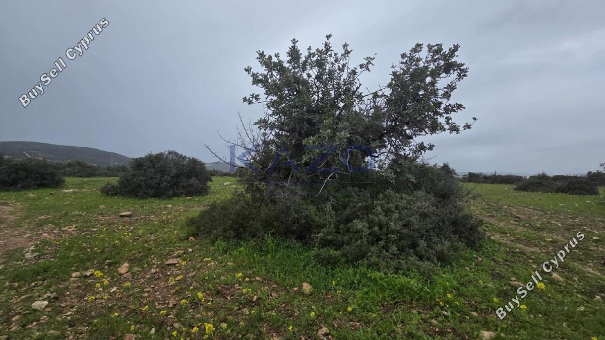 land for sale pentakomo limassol 8254836 image 13896428