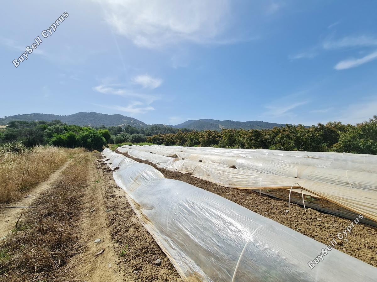 plot for sale gialia paphos 8624836 image 15872465